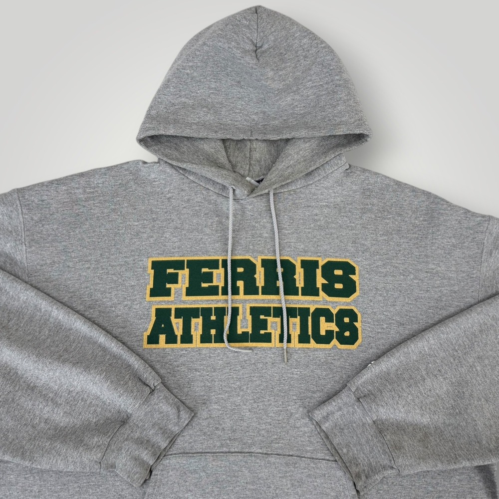 Champion Ferris Athletics Hoodie Mens XL Gray Fleece Pullover Sweatshirt